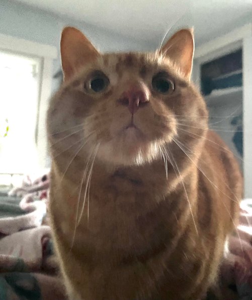 He Eats You