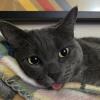 Blep
