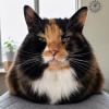 Queen Loaf