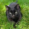Binx