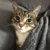 Tucked