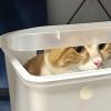Can Cat