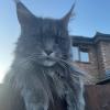 Friendly Neighbor