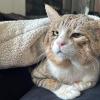 Newly Adopted