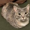 Loaf Load