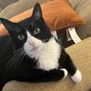 Jack 1
