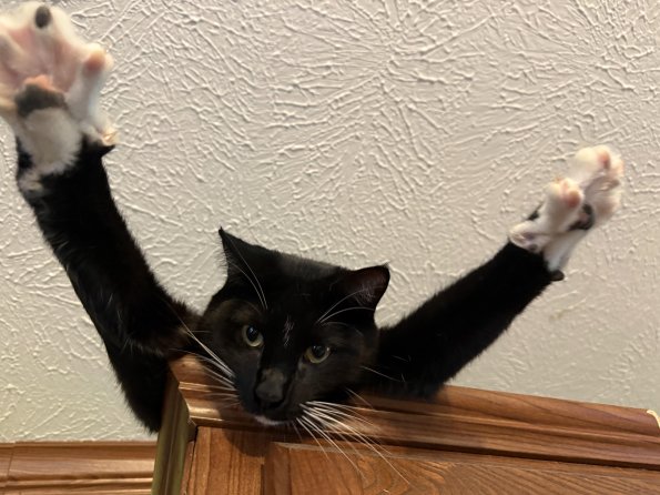 Flying