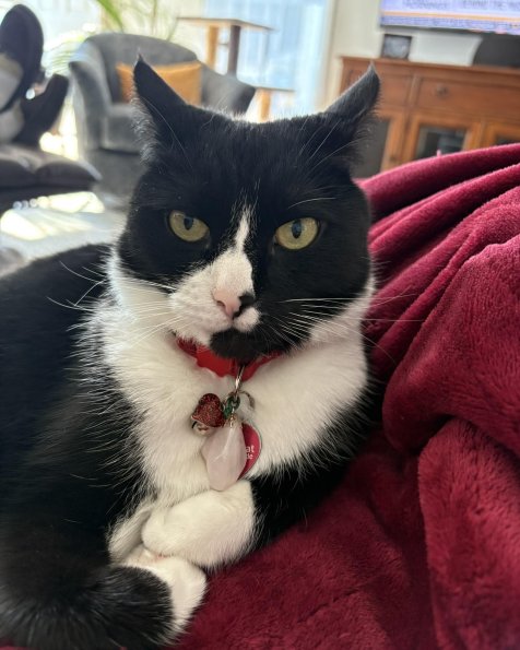 Xena