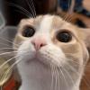 Duncan