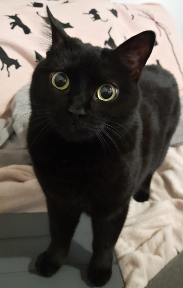 Photogenic