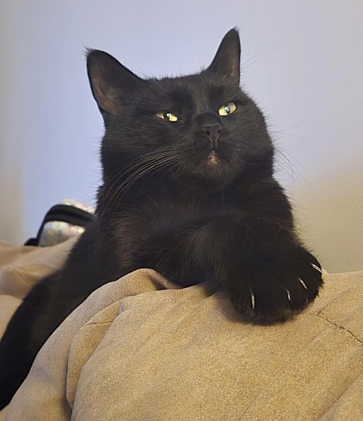 Plotting