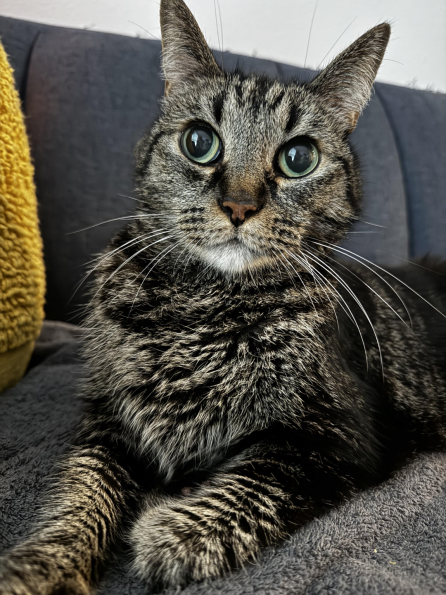 Stanley Mewbrick