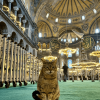Hagia Sofia Cat