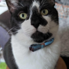 Smudge