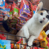 Store Manager