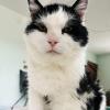21yo Cat