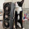 Techno Cat 2