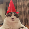 Safety Cat