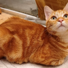 Loafwait