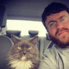 Disapproving Cat