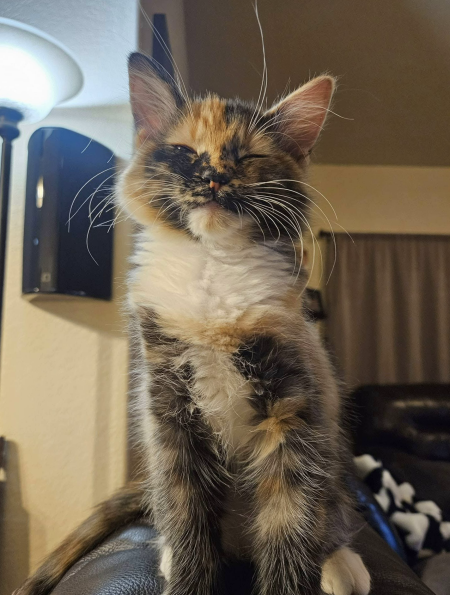 Pepper