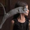 Cat Leap