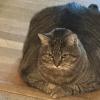 Loaf 1