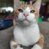 Dusty