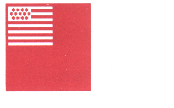 Brandywine Flag         (1777)